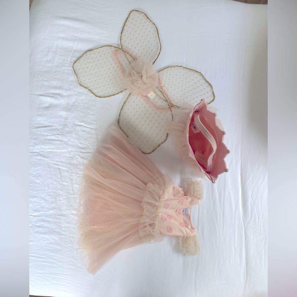 Potterybarn kids pink butterfly Halloween costume